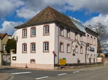 Tocht Te voet Burrweiler - Pfälzerwald Blauer Balken (Burrweiler) - Photo