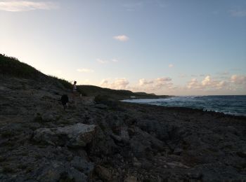 Trail Walking Saint-François - Anse à la Baie - Morne Caraïbe - Photo