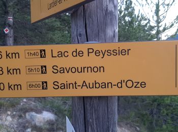 Trail Walking Esparron - ESPARON 05 . Lac de Peyssier . Col de  Peyssier o s - Photo