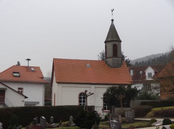 Randonnée A pied Butzbach - Wanderwege Butzbach - Hase - Photo