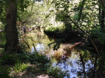 Tocht Stappen Gradignan - caya - Photo