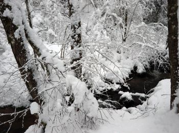 Percorso Racchette da neve Basse-sur-le-Rupt - 20210102_raq_Planois_Chalet-des-Charmes - Photo