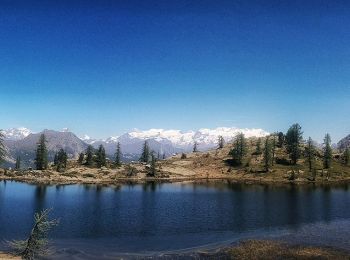 Tocht Te voet Fénis - Veulla - Colle Medzove - Photo