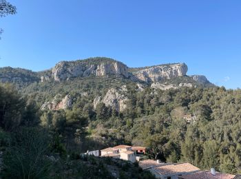 Tour Wandern Le Revest-les-Eaux - Mont Caume V2 - Photo