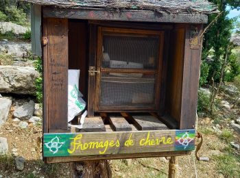 Trail Walking Labeaume - Labaume - Photo