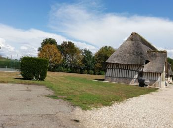 Randonnée Marche Mesnil-en-Ouche - Les jonquerets de livet - Photo