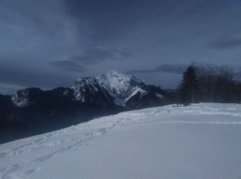 Trail Touring skiing Saint-Pierre-de-Chartreuse - la Scia - Photo