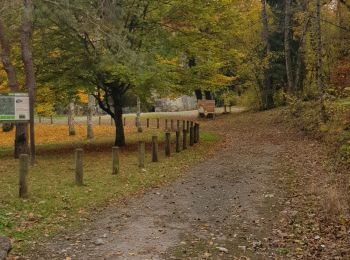 Trail Nordic walking Reignier-Ésery - Tour des Rocailles 04-11-2018 - Photo