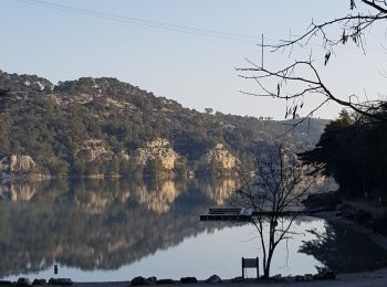 Tour Wandern Saint-Julien - 1Départ le long du lac D'Esparon - Photo