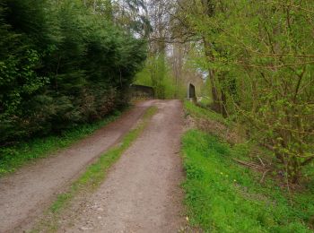 Trail Walking Colmar - Entre l'Ill et la forêt  - Photo