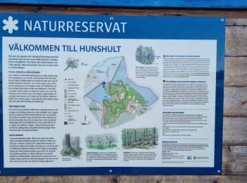 Tocht Stappen  - Hunshult - Photo