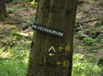 Tocht Te voet Helsa - Helsa, H6 - Michelskopfweg - Photo