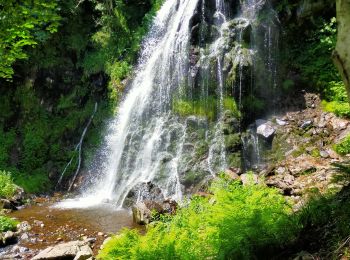 Tour Wandern Brezons - 5 cascades - Photo