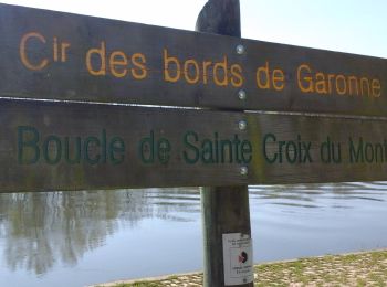 Trail On foot Saint-Maixant - Saint-Maixant : boucle locale - Photo