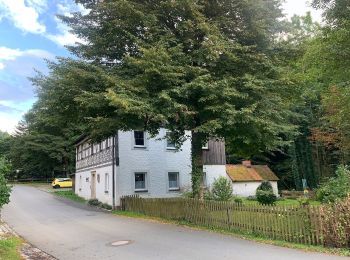 Excursión A pie Wirsberg - FrankenwaldSteigla Franzosenweg - Photo