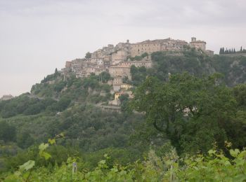 Tour Zu Fuß Calvi dell'Umbria - Calvi - San Benedetto - Montebuono - Photo
