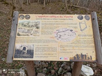 Trail Walking Clarafond-Arcine - sainte Victoire - Photo