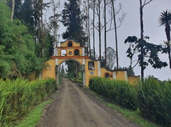Randonnée Marche Pallatanga - Hacienda Milliguayco - Photo