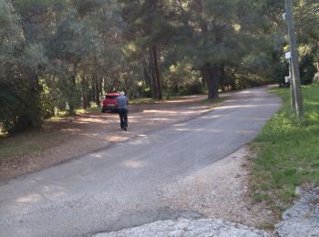 Trail Walking Le Revest-les-Eaux - 83 barrage revest les eaux 24-05-2021 - Photo