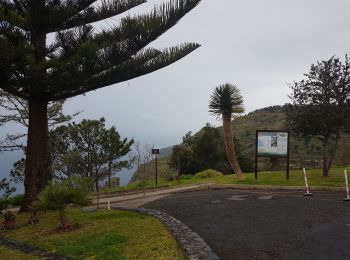 Tocht Stappen Prazeres - Madère - Paul do Mar - Photo