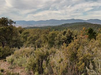 Tour Wandern Pierrefeu-du-Var - cabane des gardes-Pierrefeu-25-02-22 - Photo