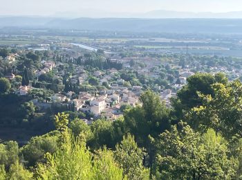 Tocht Trail Sainte-Tulle - La Réserve et le Clapier(14,5K 270D+) - Photo