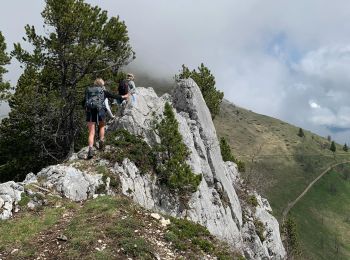 Trail Walking Aillon-le-Jeune - Mont Colombier par les rochers de la Bade et la sente de Rossanaz avec CAF Annecy -R3 - Photo