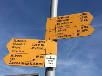 Excursión A pie Rothenburg - Rothenburg Station - Ober Wahligen - Photo