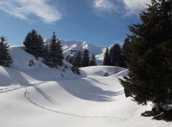 Tour Schneeschuhwandern Beaufort - Areches - Plan Villard - Photo