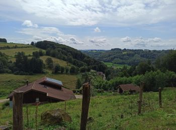 Tour Wandern Fougerolles-Saint-Valbert - 21-07-24 Fougerolles - St Bresson - Photo