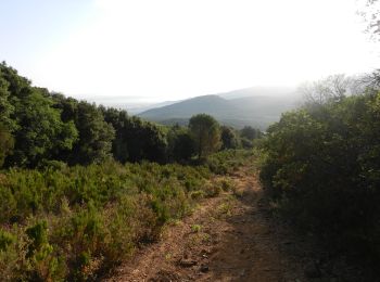 Trail On foot Scarlino - IT-3 - Photo