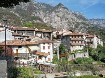 Percorso A piedi Maniago - Sentiero Frassati - Photo