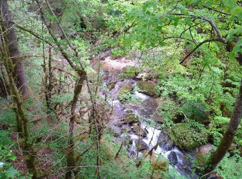 Tour Wandern Saint-Claude - Pont de Lison Ponthoux  - Photo