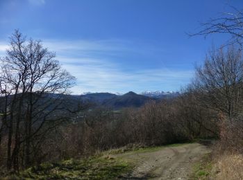 Percorso A piedi Grandeyrolles - Thones le jeune - Photo