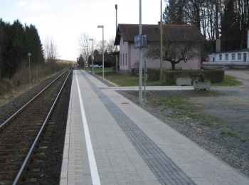 Tocht Te voet Sankt Johann in der Haide - St. Johann i.d. Haide - Unterlungitz Rundewanderweg - Photo