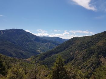Randonnée Marche Daluis - Gorges du Daluis vu du haut - Photo