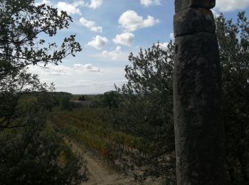 Randonnée Marche Montbrison-sur-Lez - la viale - Photo