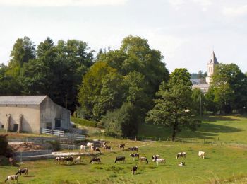 Randonnée Marche Anglès - Anglès - le moulin de Bonnet - Photo