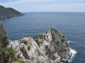 Tocht Te voet  - PortoKoufo - Kapros - Porto Koufo - Photo