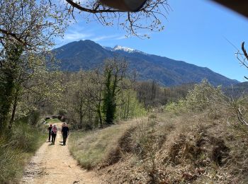 Trail Walking Los Masos - Los Masos Lionat - Photo