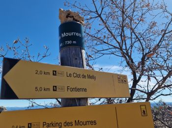 Randonnée Marche Forcalquier - Les Mourres autour de Forcalquier - Photo