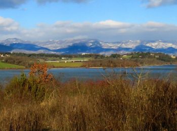 Tocht Te voet Barberino di Mugello - IT-21 - Photo