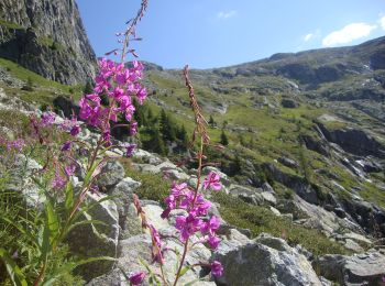 Randonnée A pied Pieve Tesino - Sentiero alpinistico attrezzato di Forcella Segura - Photo