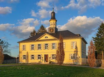 Tocht Te voet Bad Rappenau - Besinnungspfad - Photo