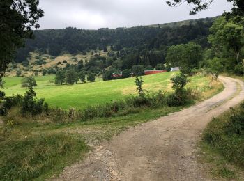 Tour Wandern Compains - Brion-Anzat le Luguet TVR  - Photo