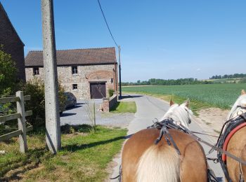 Tocht Huifkarwandeling Zinnik - attelages - Photo