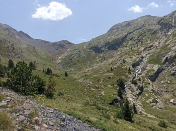 Tour Elektrofahrrad Bielsa - urdiceto - Photo