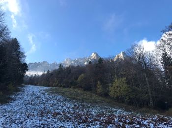 Trail Walking Plateau-des-Petites-Roches - L’Aulp du Seuil  - Photo