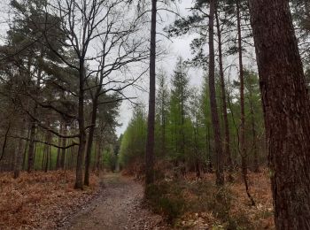 Trail Walking Fontaine-l'Abbé - Fontaine l'Abbé - Photo