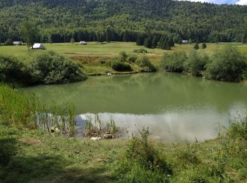 Randonnée Marche Arith - le vallon du mariet et le petit lac - Photo
